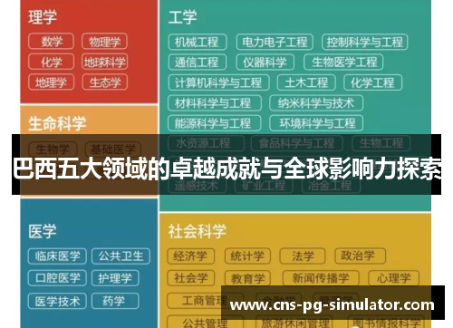 巴西五大领域的卓越成就与全球影响力探索 巴西五大领域的卓越成就与全球影响力探索