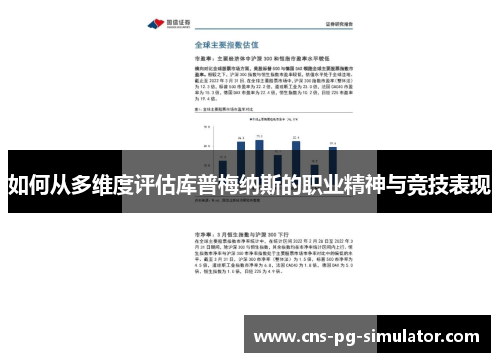 如何从多维度评估库普梅纳斯的职业精神与竞技表现